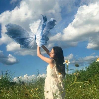 半岛约定 海报