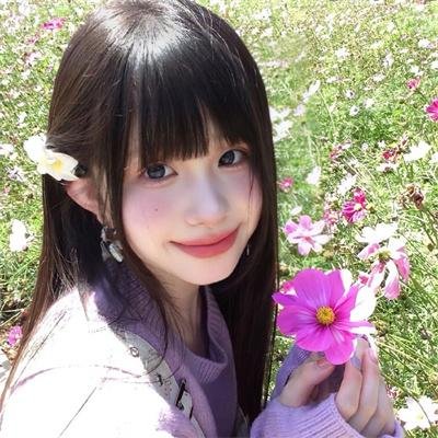 奈良归来 海报